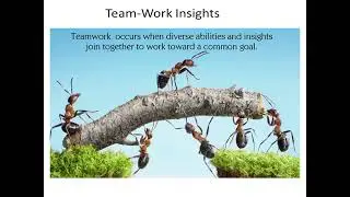 DL-1 Developing Management Skills