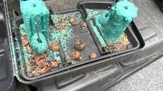 Checking for Mouse entry points | Full Mouse control 🐭