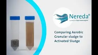 Sludge Settling I - Nereda&reg; | Royal HaskoningDHV