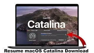 Как возобновить загрузку macOS Catalina в любое время | Обновление до macOS Catalina 10.15