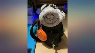 ARCA PET Travel Bag for Cat & Dog Backpack - Store All Dog Stuff & Puppy Supplies - review