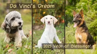 Da Vinci's Dream - 2025 Year in Review