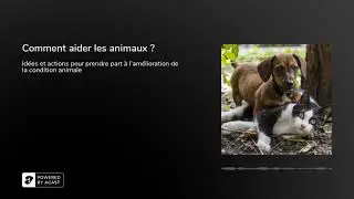 Comment aider les animaux ?