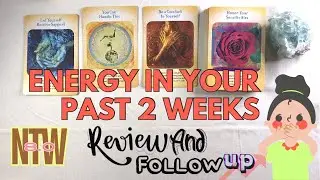 PWT17.5 - Past 2 Weeks In-depth ENERGY Review & Follow up ☸️ Imbalance 🧡💙💛 Addiction 🐈&zwj;⬛ RIP Jimmy 🐈