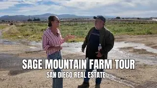 Ферма Sage Mountain Farm (округ Сан-Диего): говядина травяного откорма, регенеративное земледелие...