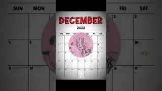 It&rsquo;s been a year already #edits #1year #channel #december10