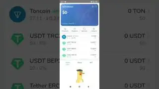 Обзор, крито кошелек Ton Wallet.
