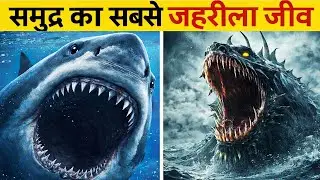 Top 5 Most Poisonous Sea Creatures in the World | Deadly Ocean Animals | Xofactshindi