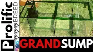 AQUARIUM SUMP | TRIGGER SYSTEMS EMERALD 39 | REEF TANK