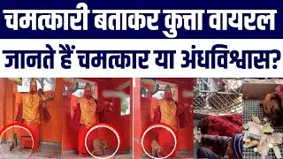 Hanuman Temple Dog Parikrama Video Viral: Chamatkaar Ya Blind Faith Smajhte Hain Special Report Me