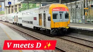 V Set Meets D Set at Parramatta | A Soon-to-Be Historic Moment