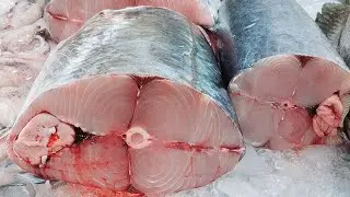 Sonu Khan is live best fish cutting skills Karela
