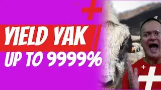 Watch my review of Yield Yak the yield maximizer on Avalanche (high risk)🧐