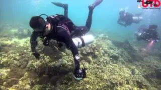 UTD OHP 27 Feb - 2 Mar 2016