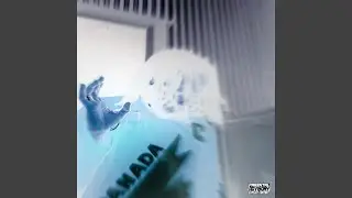 mmhb