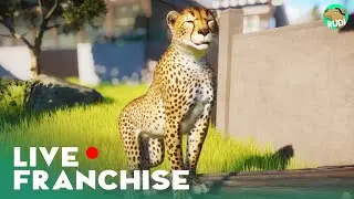 Planet Zoo Franchise Live - More Animals, more fun!