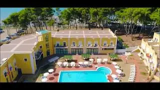 Orchidea Blu Promo 2018