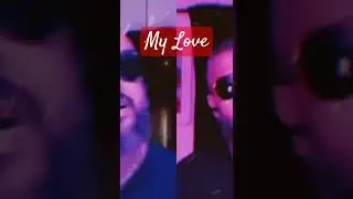 My Love - Paul McCartney #musicnow #music #PaulMcCartney #coversong