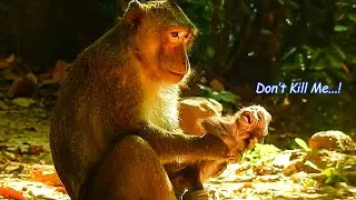 Heart Shock Concern Baby Anissa Life With Bad Man Aron Kidnapped | Anissa Cries Scare Full To Him