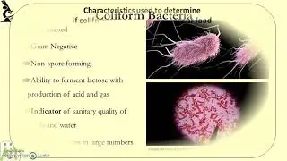Coliform Bacteria and the IMViC Tests