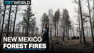 More than 300 homes destroyed in New Mexico forest fires