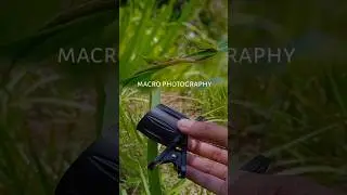 Macro Phone Photography #nature #insects #macro #macron  #macrophotography