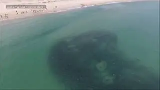 Australien: Haischwarm kommt dem Strand gef&auml;hrliche nahe