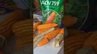 SEED EXPO -2023 AT TNAU COIMBATORE