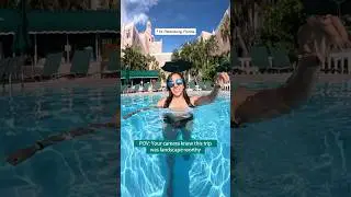 Chill Days and a Little Thrill in St. Petersburg, Florida