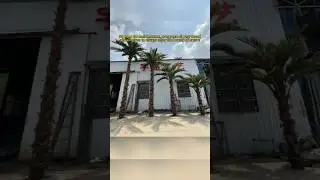 🌴Stunning Artificial Large Coconut Palm Tree Outdoor Luxury Decor | Easy Setup & Global Delivery