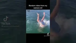 GUY CATCHES SEAGULL WITH BARE HANDS😳