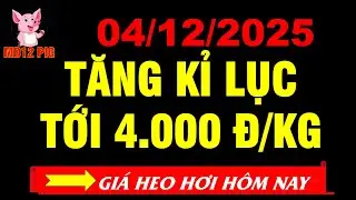 Gi&aacute; heo hơi h&ocirc;m nay 04/12/2025 | TĂNG KỈ LỤC TỚI 4.000 Đ/KG | md12pig #giaheohoihomnay #giaheohoi