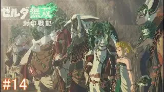 The gathering of wise men! [Hyrule Warriors: Chronicles of the Sealed War #14]