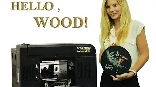 Wood  Printer,custom wood print-artisJet.(Braille signage printer, wood coaster printer)