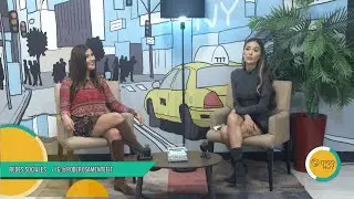 La SOBREESTIMULACIÓN te esta afectando. Aprende a sanar tu cerebro.