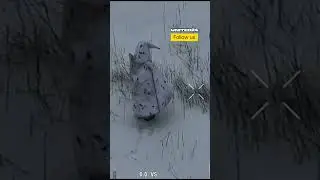 Russian 'Penguin' Eliminated by Ukrainian Drone #warinukraine