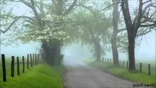 Adult Swim Bump - Morning Fog