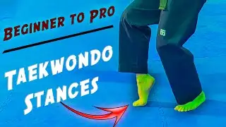 Taekwondo Seogi | Poomsae Basic Stances | Taekwondo Stances for Beginners | Master Seong Oh Choi