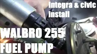 Walbro 255lph Fuel pump install (Acura Integra)