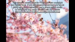 Bird flapping wings Free Sound Effect | Royalty free| Copyright free | Sound effectual