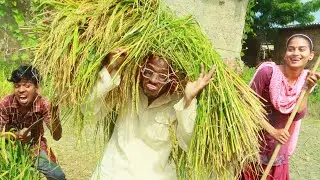 #चिरकुटवा का फसल हुआ डेंजर गांव में मचा हाहाकार | # New Beedi comedy chirkut baba (2022)