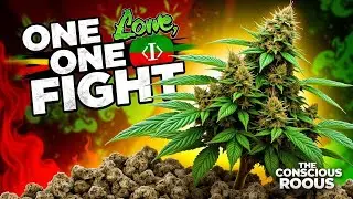🏳️&zwj;🌈Roots Reggae - One Love, One Fight The Conscious Roots Mix