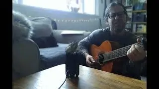 Tiny Desk Contest 2025The Feather Pen by Ben Dasher