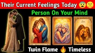 Twin Flame | Their Deep Current Feelings Today | Person On Your Mind | 11.11 Portal | Timeless