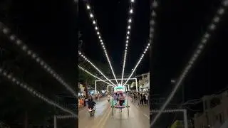 Mysore Dasara #mysoredasara #dasaralightings #dasaraelephants #mysore #dasaravideos