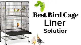 Best Bird Cage Liner Solution