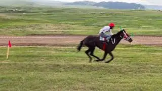 Скачки в Леваши. 3-й заезд, 6000 м