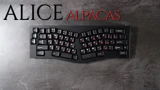 TGR Alice with Alpacas Typing Sounds (Fixed Audio)