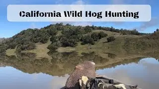 Wild Hog Hunting (2019)