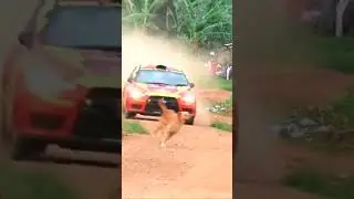 Your lucky day to survive #accident #race  #rally